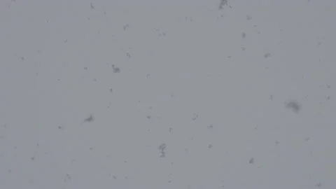 Falling Snow #9 - Sony S-Log3 Ungraded - 4K Stock Footage 145921632