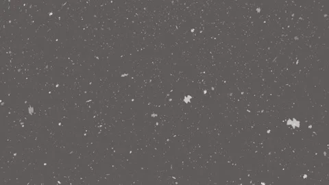 Falling snow against a grey background. Stock Footage 316881477