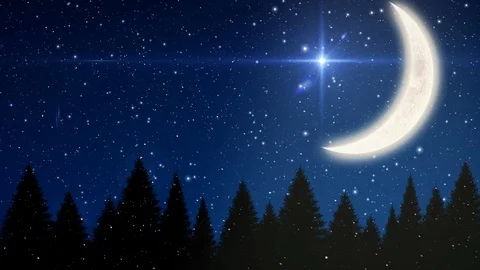 Starry Christmas Night Stock Video Footage | Royalty Free Starry Christmas  Night Videos | Pond5
