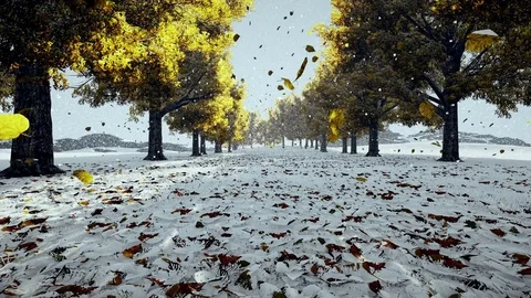 Falling snow and leafs,winter is coming Stock Footage 69743717