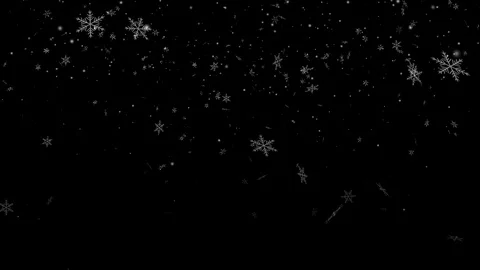 Falling snow and snowflake Stock Footage 101315457