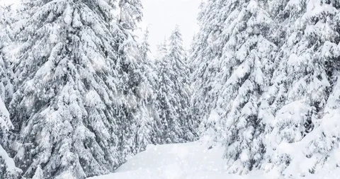 Falling snow animation winter mountain landscape Stock Footage 98465012