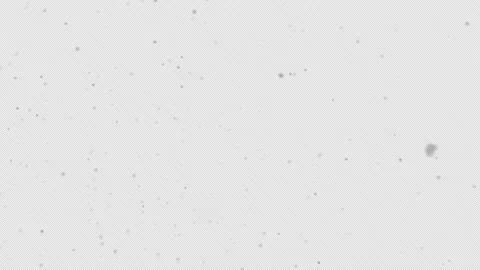 Falling snow animation. Winter Snow Video stock 205512523