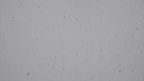 Falling snow on a background of cloudy sky Stock Footage 116731908