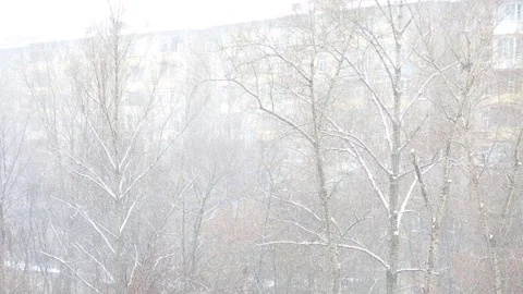 Falling snow background Stock Footage 88076350