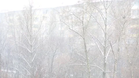 Falling snow background Stock Footage 88076458