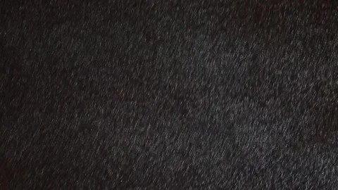 Falling snow background 库存影片 88432951