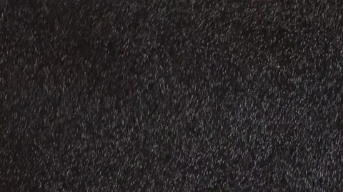 Falling snow background Video stock 98431953