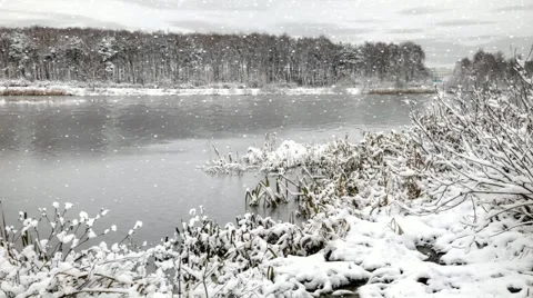 Falling snow on a background of forest lake Stock Footage 43104887