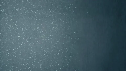 Falling Snow Background - Graded - 4K Stock Footage 146006408