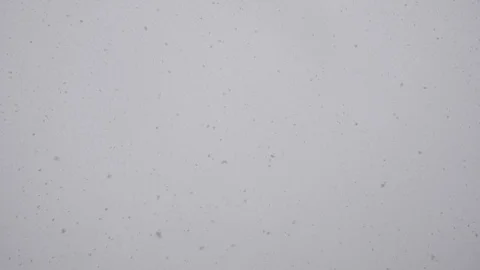 Falling snow on a background of gray cloudy sky Stock Footage 116729692