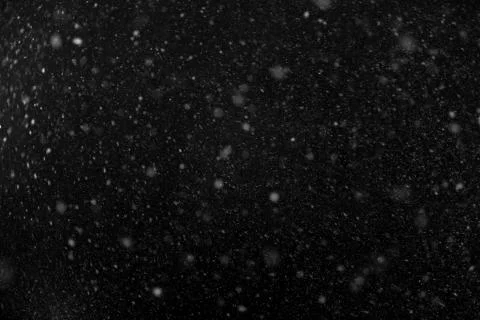 The falling snow. Background Stock Photos