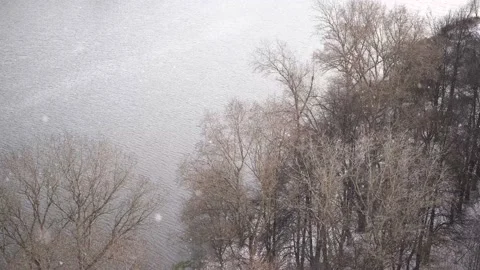 Falling snow on the background of trees and river Stock Footage 144100424