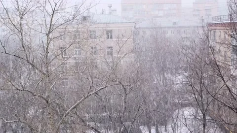 Falling snow on the background of trees and city houses Stockbeeldmateriaal 233466751