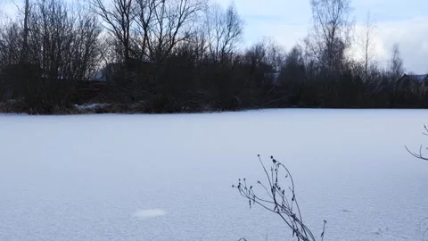 Falling Snow on the Background of a Winter Pond and Trees Stock Footage 261856812