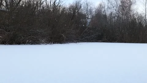 Falling Snow on the Background of a Winter Pond with Trees Stock Footage 261857101
