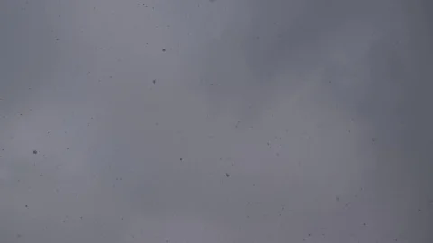 Falling snow on the background of the winter sky. Stock Footage 71949046