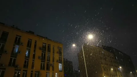 Falling snow backlit with modern street lamp in city street at night in winter. Stock Footage 183964048