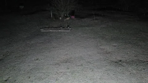 Falling snow in backyard by night Stock Footage 299807600