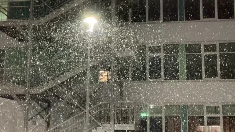 Falling Snow in a Beam of Light. 스톡 동영상 254594933