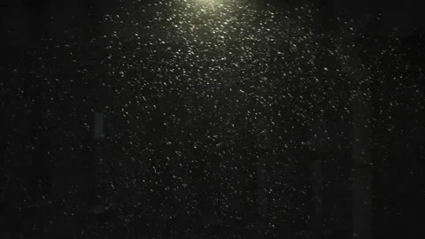 Falling Snow in a Beam of Light HD Pro Stock Footage 243186395
