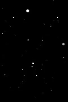 Falling snow on black background with different particle sizes, overlay effect Stock Photos