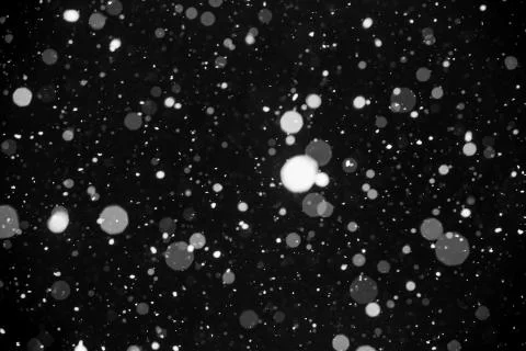 Falling snow on black background. Stock Photos