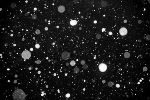 Falling snow on black background. Stock Photos