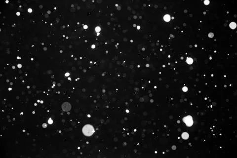 Falling snow on black background. Stock Photos