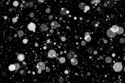 Falling snow on black background. Stock Photos