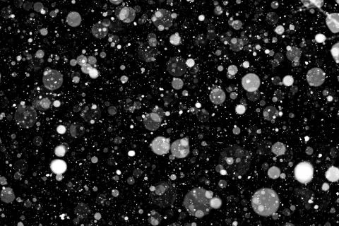 Falling snow on black background. Stock Photos