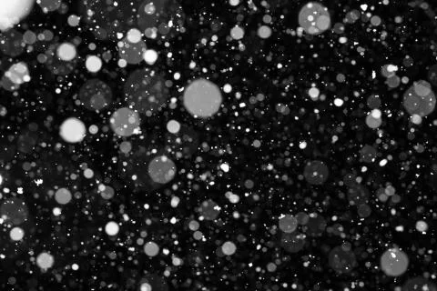 Falling snow on black background. Stock Photos