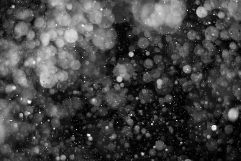 Falling snow on black background. Stock Photos