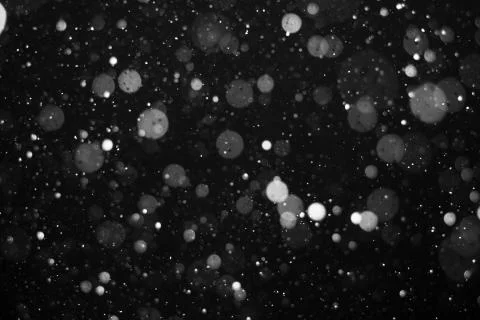 Falling snow on black background. Stock Photos