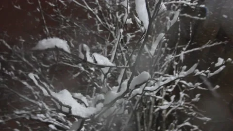 Falling snow on a black background. Urban shower snow. Sparkle on lens. Stock Footage 143048675