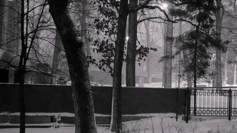 Falling Snow In Black White Tone Stock Footage 83732924