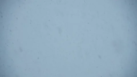 Falling Snow Blizzard Pure Winter Slow Motion Background Loop Stock Footage 221353055