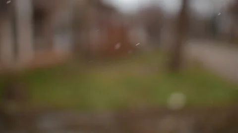 Falling Snow With Blurred Background HD 스톡 동영상 95788388