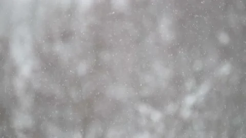 Falling snow on a blurred background in real time Stock Footage 236643022