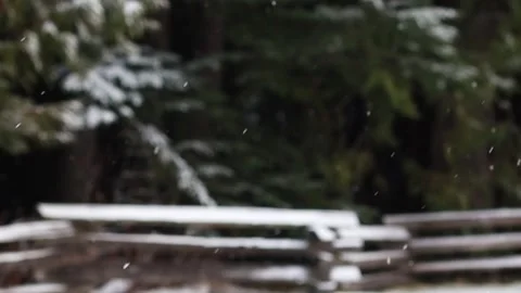 Falling Snow with blurry background Stock Footage 166537342