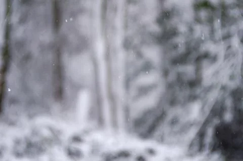 Falling snow blurry background Stock Photos