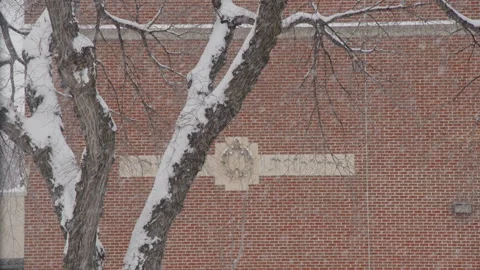 Falling snow by brick school building and tree Stock Footage 295917253