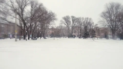 The falling snow in the city. Stock-Footage 85313958