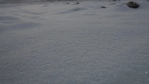 Falling snow close to camera Vídeo Stock 123779633