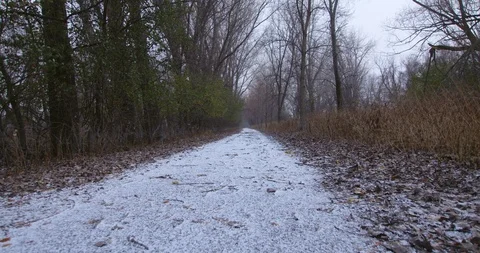 Falling snow on country path 스톡 동영상 120587477