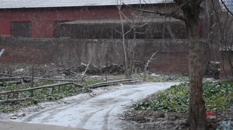 Falling snow on a country road Stock Footage 46709842