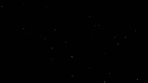 Falling snow on Dark Backdrop. Real snow on Black Background. Stock Footage 169646507