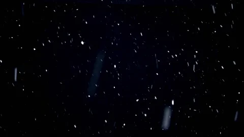 Falling snow on Dark Backdrop. Real snow on Black Background. Stock Footage 169646516