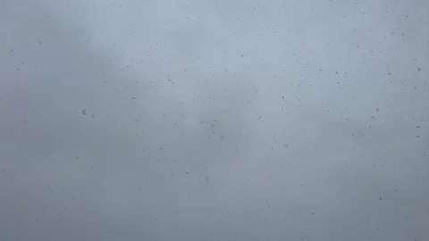 Falling Snow During the Day, Loop Video Stock Footage 293575354