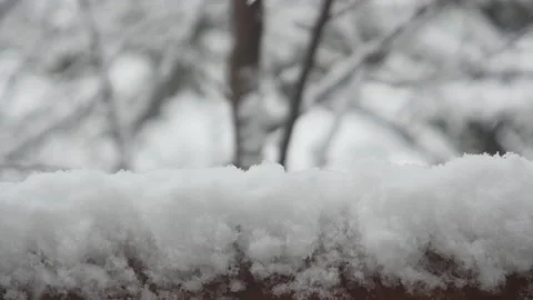 Falling snow on a fence 库存影片 162627761